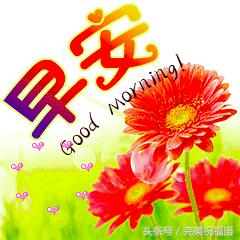 朋友祝你年年十八你怎么回,朋友愿你天天开心吉祥如意