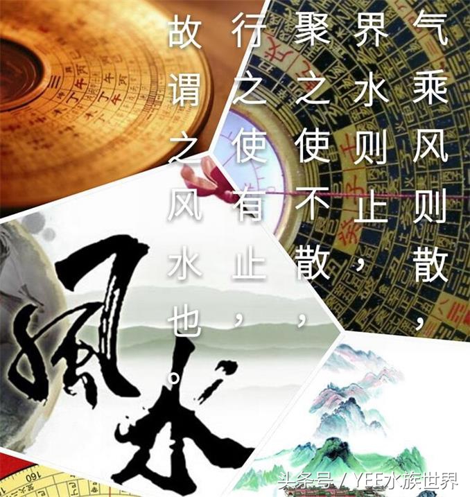 鱼缸摆放位置风水讲究正对门,摆放鱼缸养鱼跟风水真有关系吗