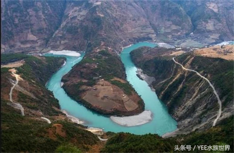 鱼缸摆放位置风水讲究正对门,摆放鱼缸养鱼跟风水真有关系吗