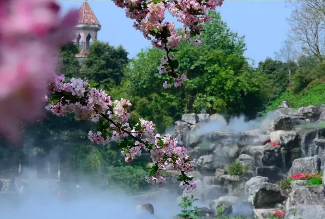 青白江凤凰盛景航拍,青白江凤凰新城最新视频