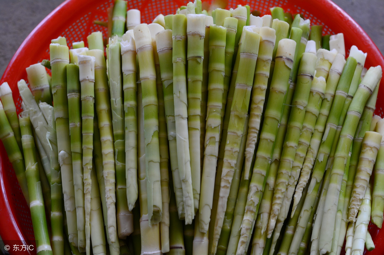 以前这些野味只有农村吃，现在城里人都爱吃，种了不愁卖！