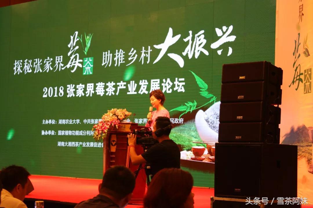 湖南省对张家界莓茶产业的政策,张家界莓茶文化节新闻发布会