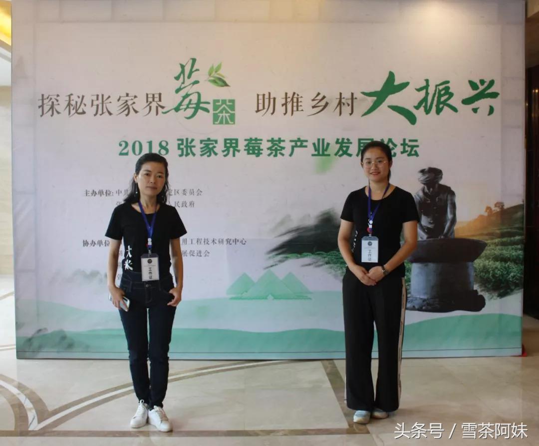 湖南省对张家界莓茶产业的政策,张家界莓茶文化节新闻发布会