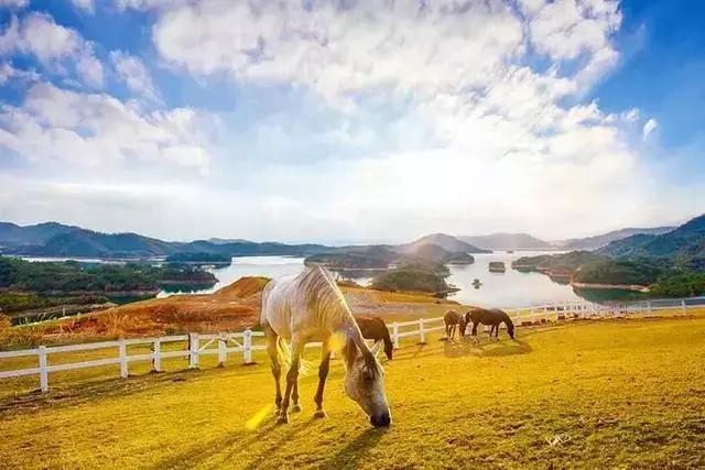 这些民宿藏着千岛湖99%的美，蓝天白云、绿水红叶，邂逅最美秋色