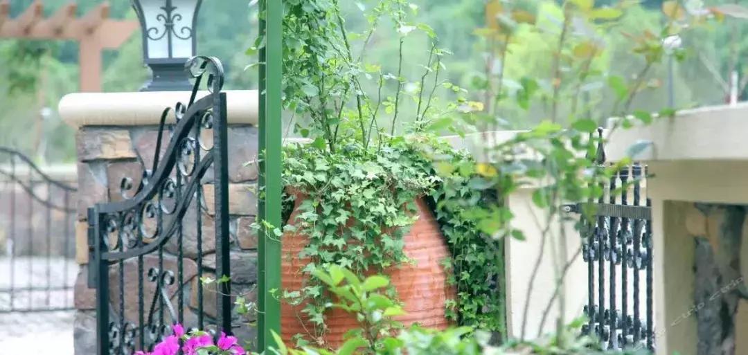 这些民宿藏着千岛湖99%的美，蓝天白云、绿水红叶，邂逅最美秋色