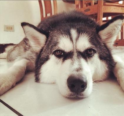 buy是买的意思吗,buy与sell的区别