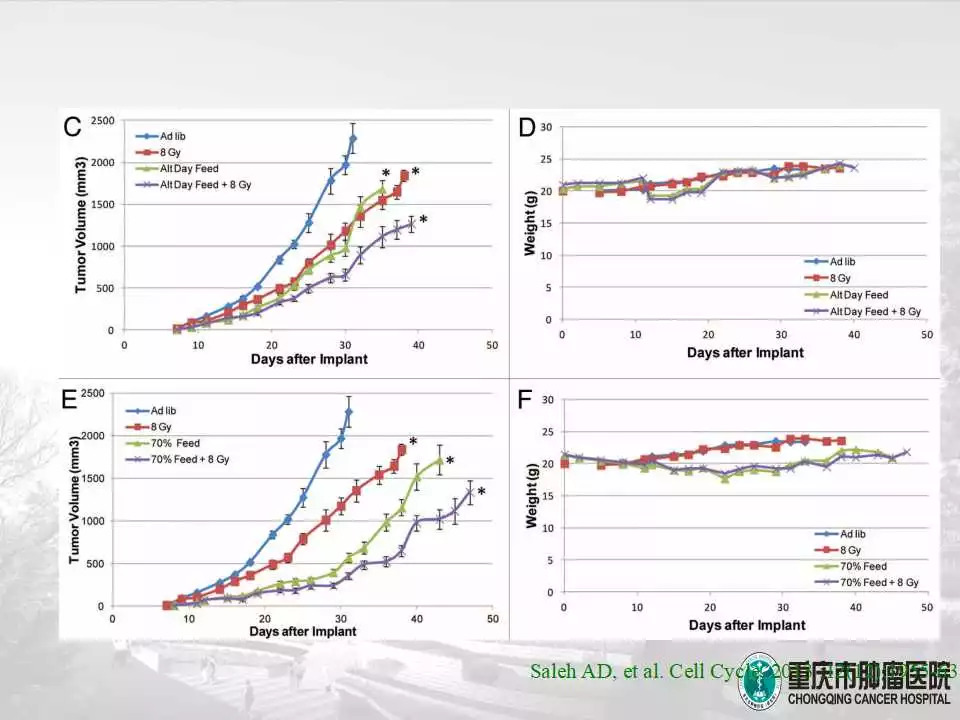 「课件」冯长艳（重庆肿瘤医院）：肿瘤患者的营养与康复指导