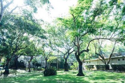 毛里求斯旅游攻略自由行,毛里求斯5晚8天旅游