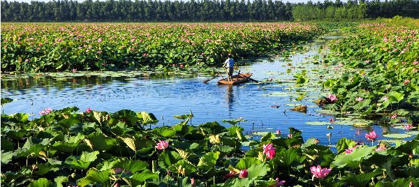 湖南省南县,清末冲积成洲,全国唯一一个以方位词命名的单字县