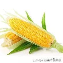 视觉盛宴！速来围观！现场直播腹腔镜胆囊切除术全过程！