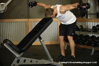 新手哑铃健身一周训练计划,新人健身房健身一周训练计划