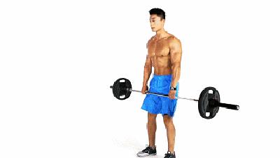 新手哑铃健身一周训练计划,新人健身房健身一周训练计划