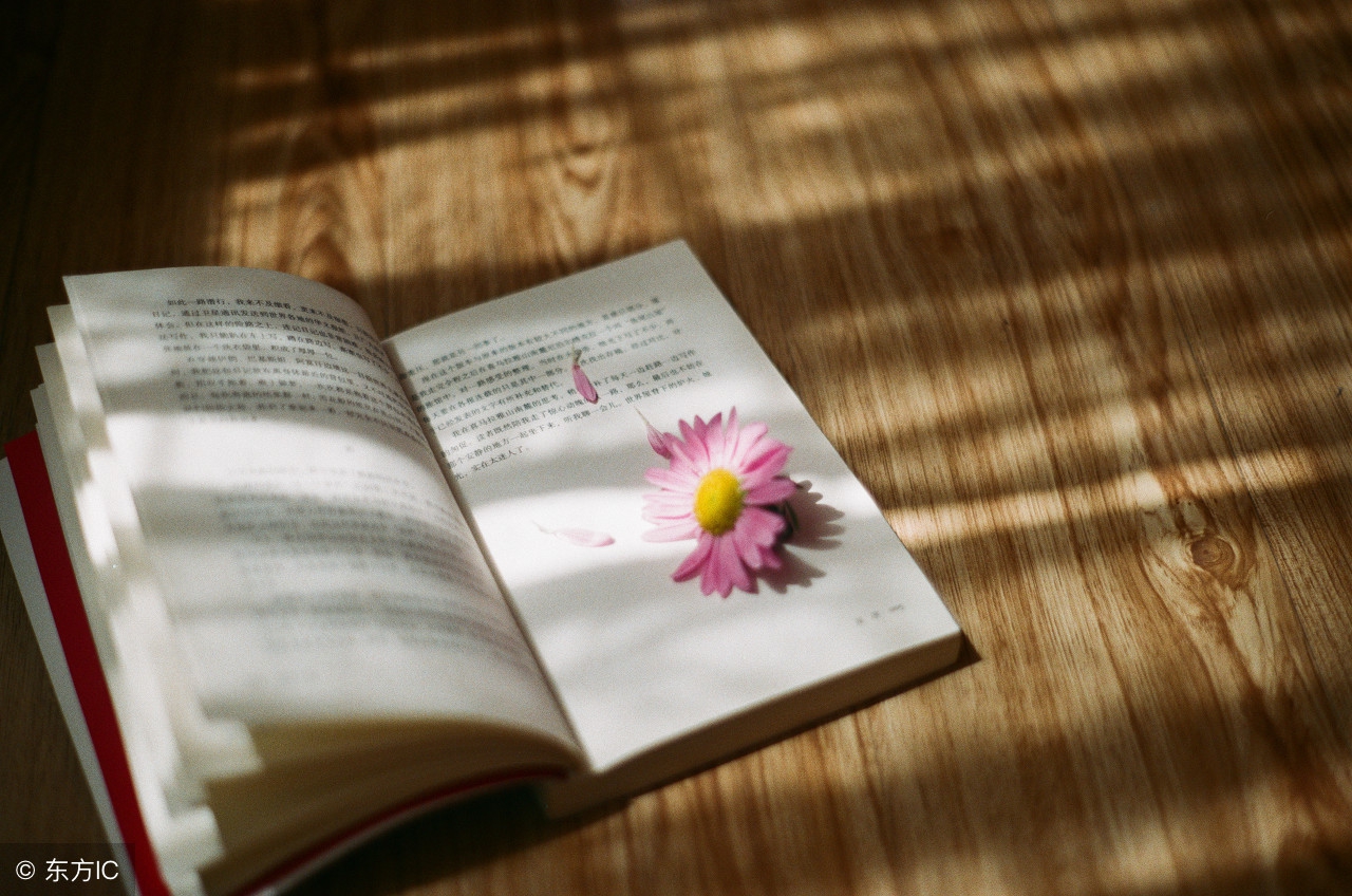 部编三年级上册语文写字表,部编版语文三年级上生字组词汇总