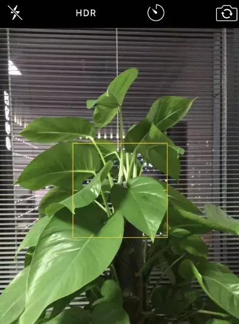 你可能听说过“HDR”，但它远没有你想的那么简单！