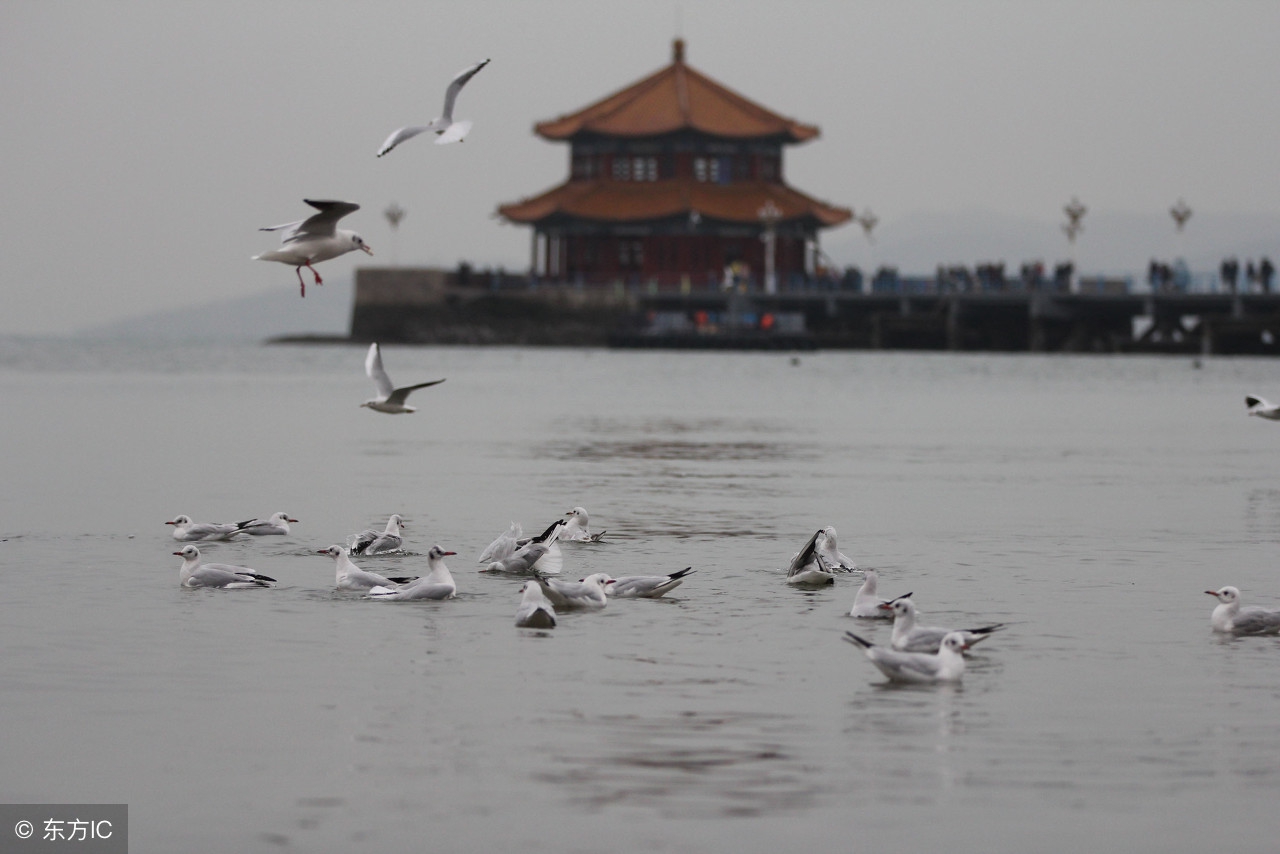 青岛栈桥风景桥,青岛最有名的风景桥