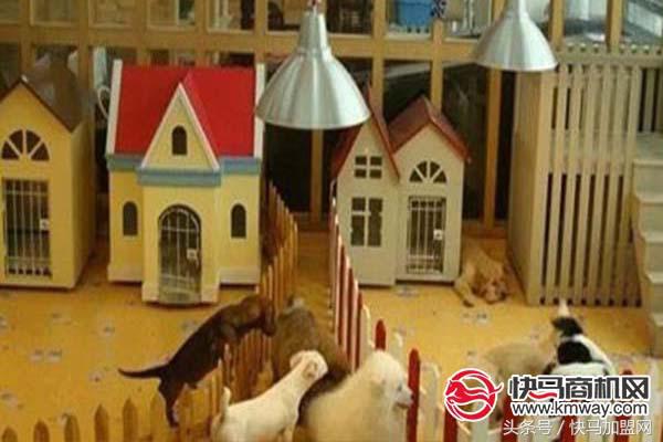 成本低、回报快、潜力大的几个赚钱项目了解一下！