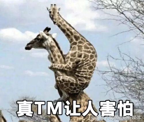 宇宙级代沟：00后在骂你，你却一脸懵逼