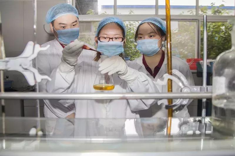 毕业了想找个兼职,毕业了应该找一份什么工作