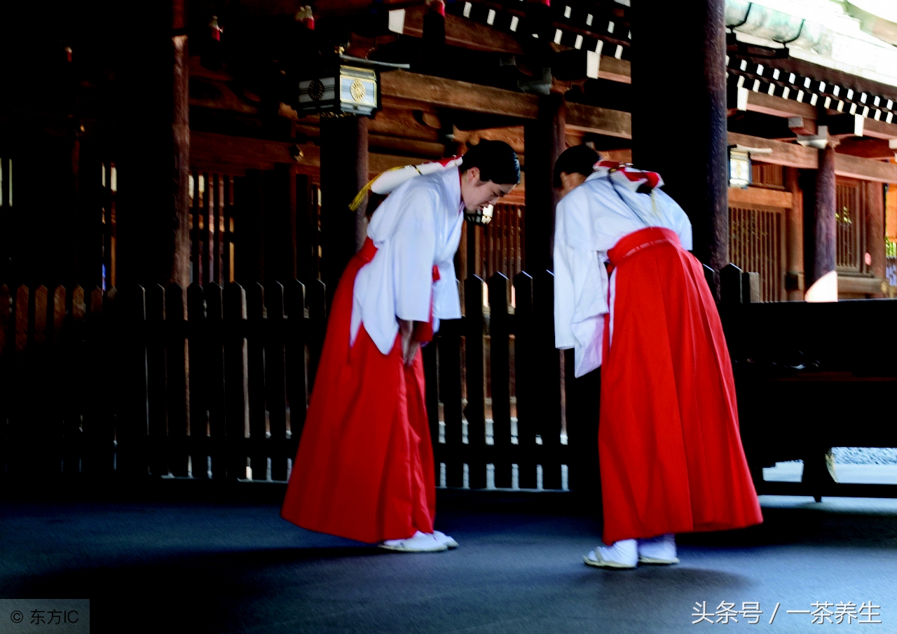 阿旺说茶,阿旺说的话