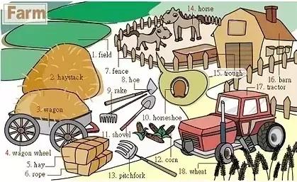 36张图记住英文生活用词,34张图记住单词