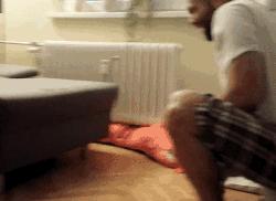 法斗蠢萌小肥牛竟然是烈性犬,法斗性情凶猛