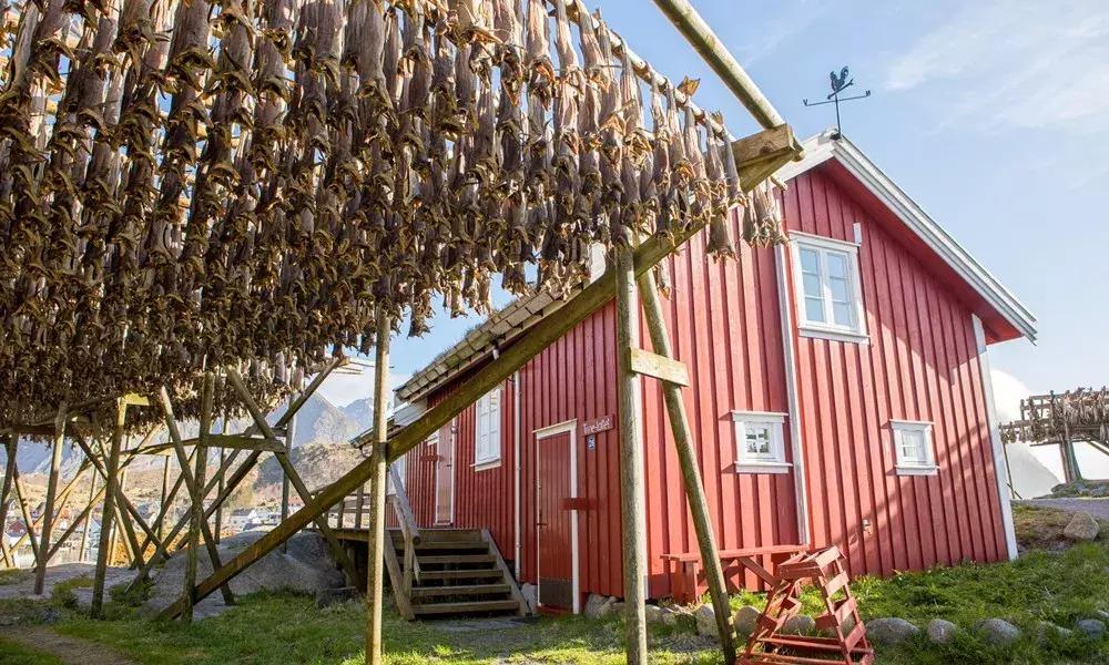 小木屋,玻璃顶,火山温泉,住这些酒店,get最cool极光姿势