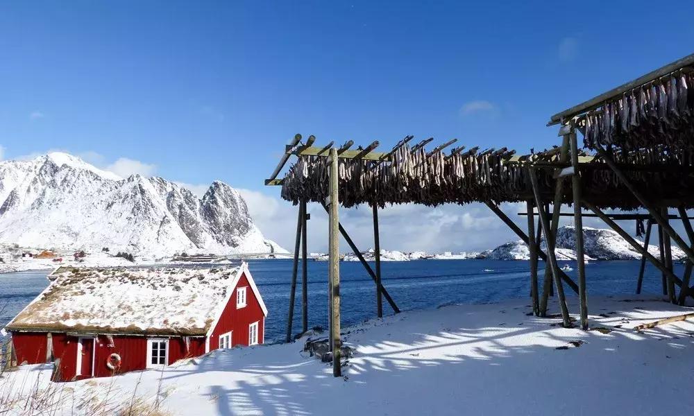 小木屋,玻璃顶,火山温泉,住这些酒店,get最cool极光姿势