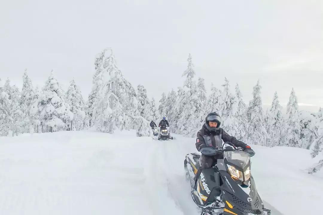 小木屋,玻璃顶,火山温泉,住这些酒店,get最cool极光姿势