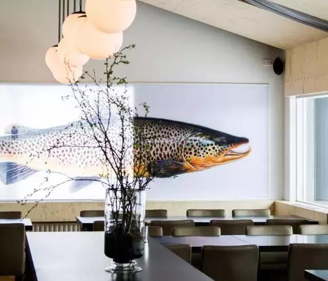 小木屋,玻璃顶,火山温泉,住这些酒店,get最cool极光姿势