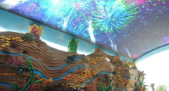 世界最大水族馆珠海长隆,珠海长隆海洋王国古老的海洋生物