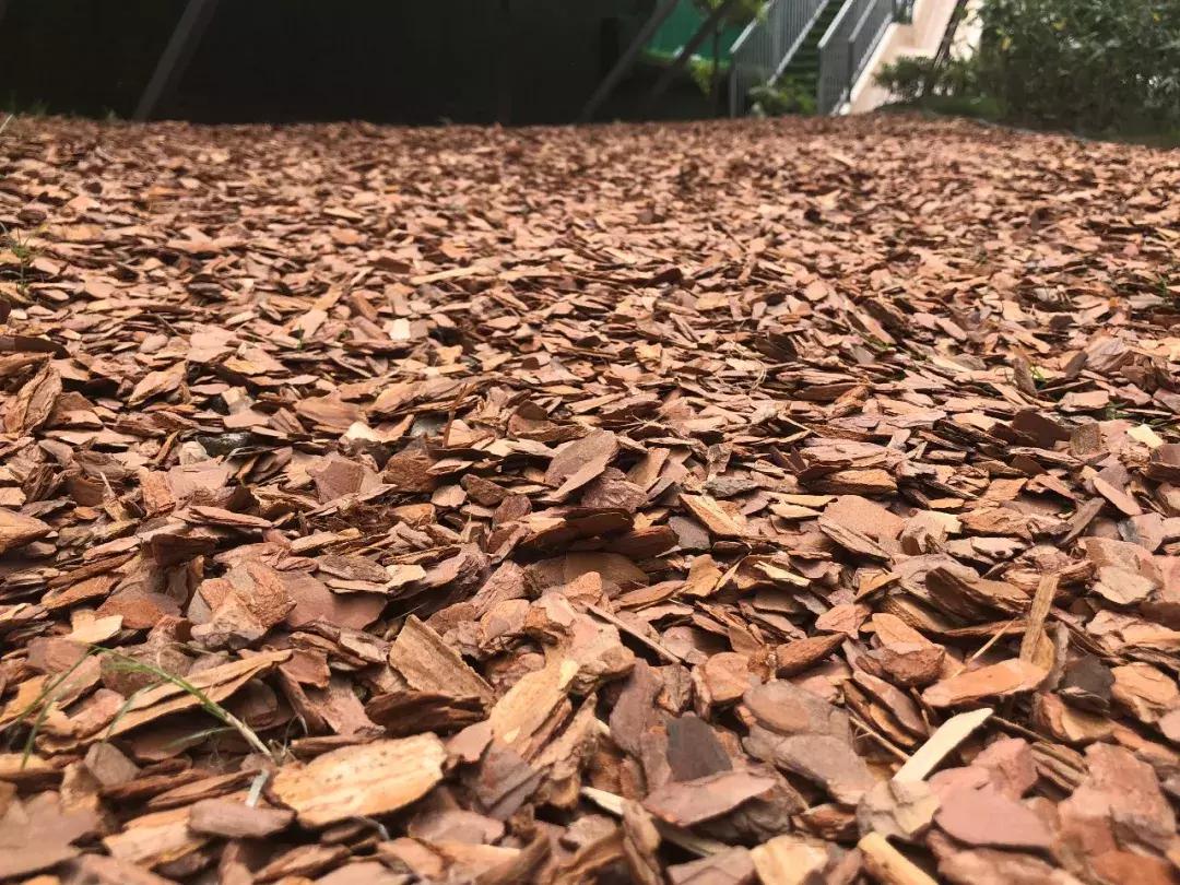 上海一休园艺中式庭院效果图,上海一休园艺设计公司