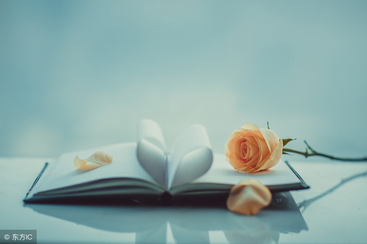 2022教师资格证考试综合素质真题,教师资格证小学笔试综合素质2020