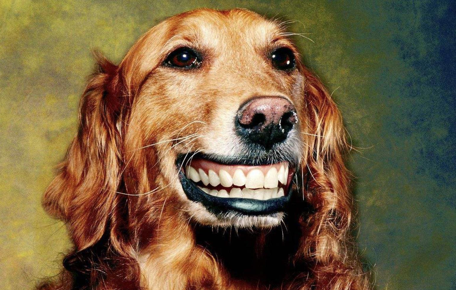 当你一脸茫然的时候,当你懵逼的时候