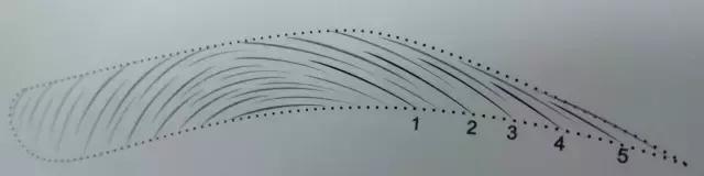 纹绣线条练习技巧,纹绣线条眉操作流程