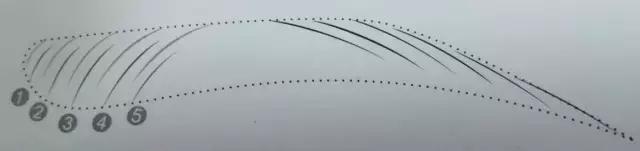 纹绣线条练习技巧,纹绣线条眉操作流程