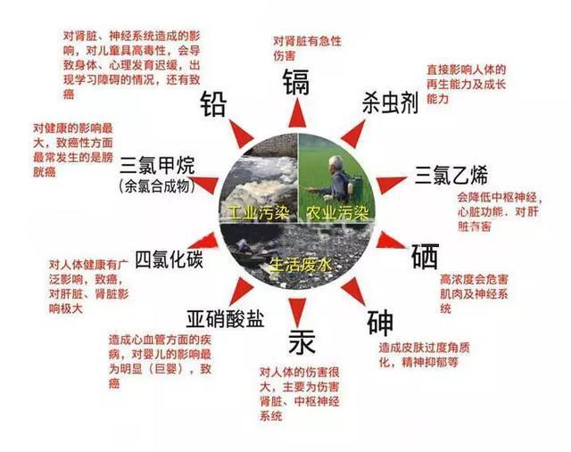 kchala活丽滋引领沐浴潮流,打造能喝的洗澡水