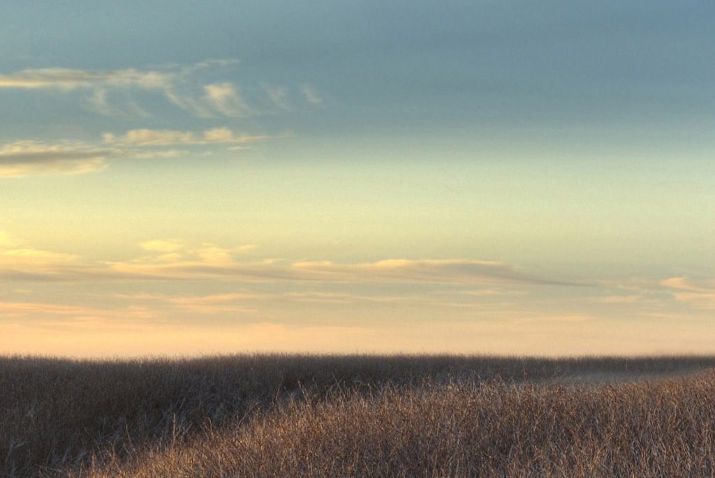 ps十大的抠图方法,ps的10种抠图方法