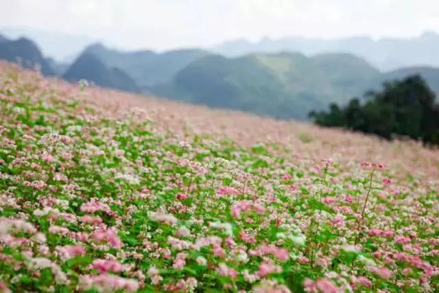 西安出发机票团购,西安特价99元机票7月