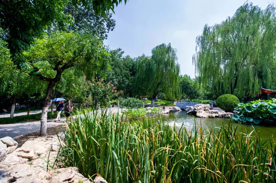 儿童沙滩公园游玩,沙滩儿童乐园免费