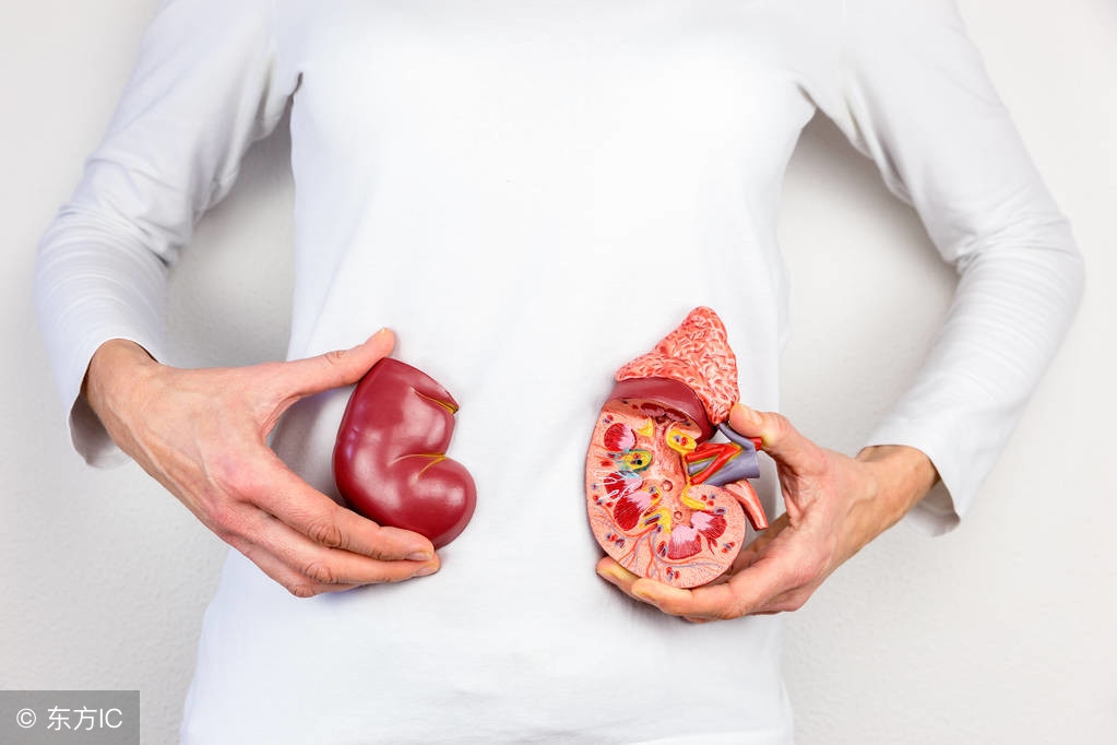 针对肾结石所进行的康复治疗方法