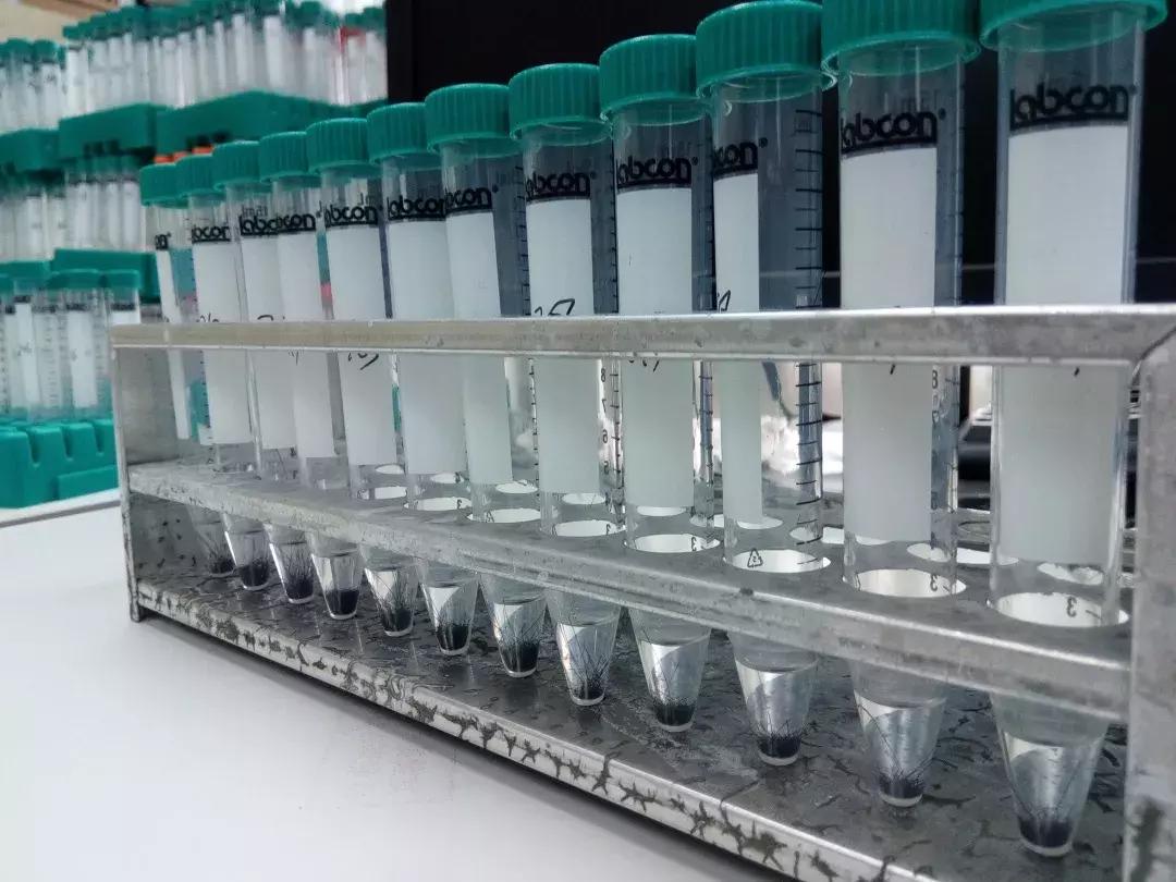 剃光头逃避*品毒**检测?最新毛发检测,连*处私**也不放过!