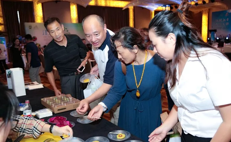 亮点|上海至上虞“千人游”首发团启动