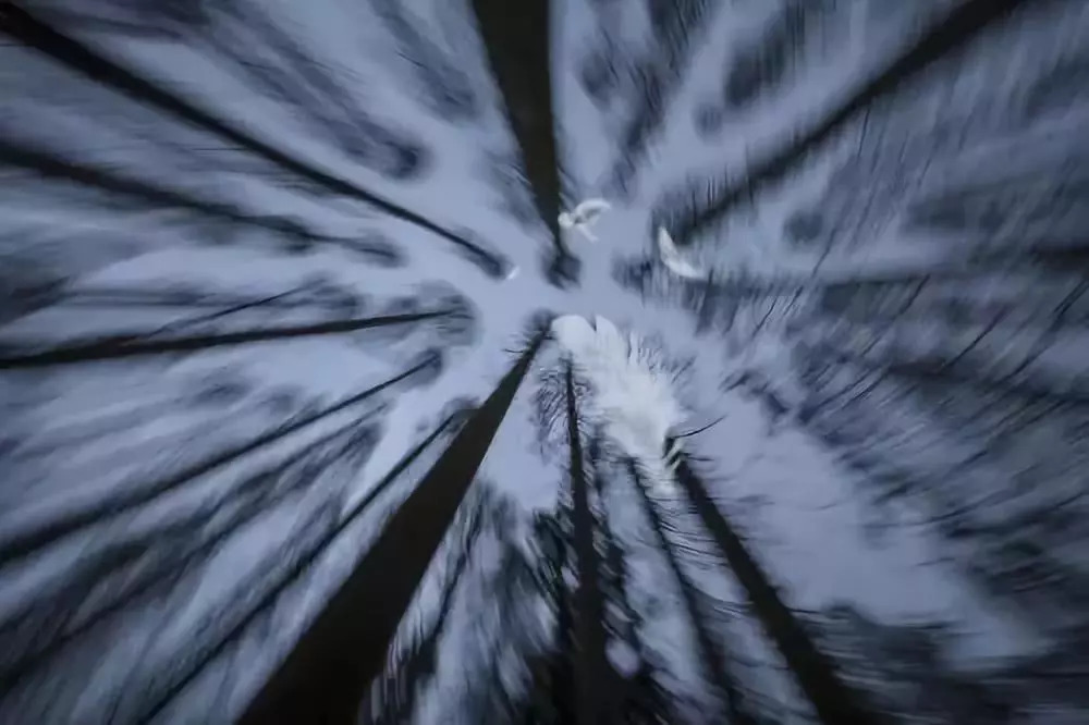 酣战通胀四十年中国人财富的变迁,通胀四十年中国人财富观的变迁史