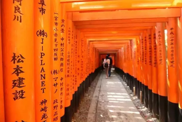 护照过期签证会失效吗,护照签证过期后怎么往返