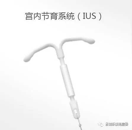 世界避孕日,世界避孕日知识测试答案