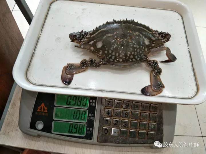 烟台螃蟹怎么选,烟台挑选螃蟹有绝招