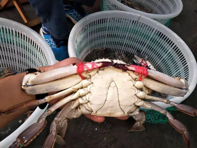烟台螃蟹怎么选,烟台挑选螃蟹有绝招