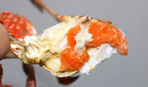 烟台螃蟹怎么选,烟台挑选螃蟹有绝招