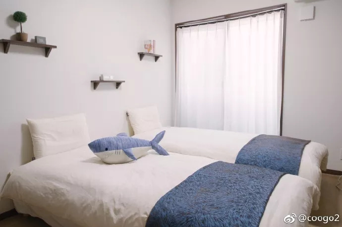 因提前退订纠纷，三名女大学生把日本民宿毁成垃圾场……民宿短租中房东的权益该如何保障？