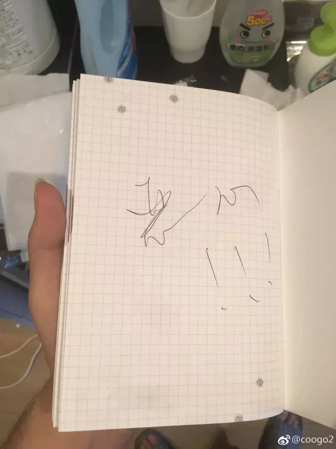 因提前退订纠纷，三名女大学生把日本民宿毁成垃圾场……民宿短租中房东的权益该如何保障？